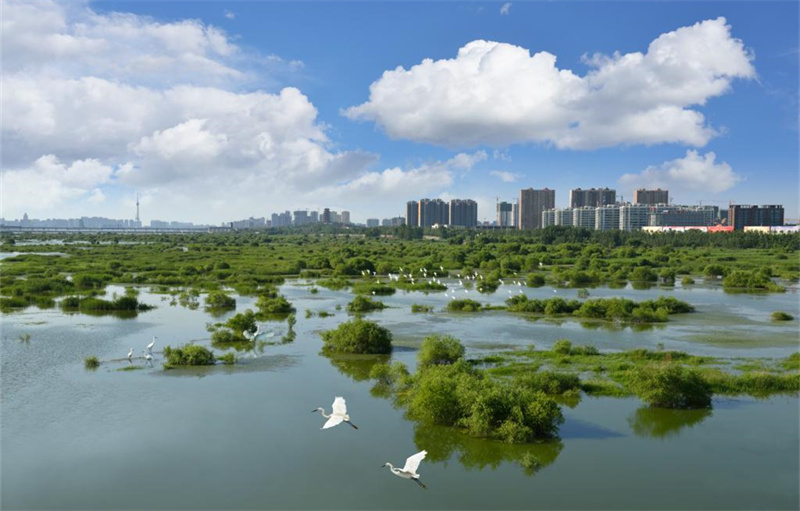 周邊配套沂河國(guó)家濕地公園