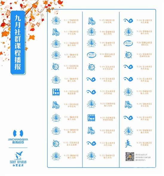 白鷺金岸太極社 | 在心與拳之間，尋一份境界