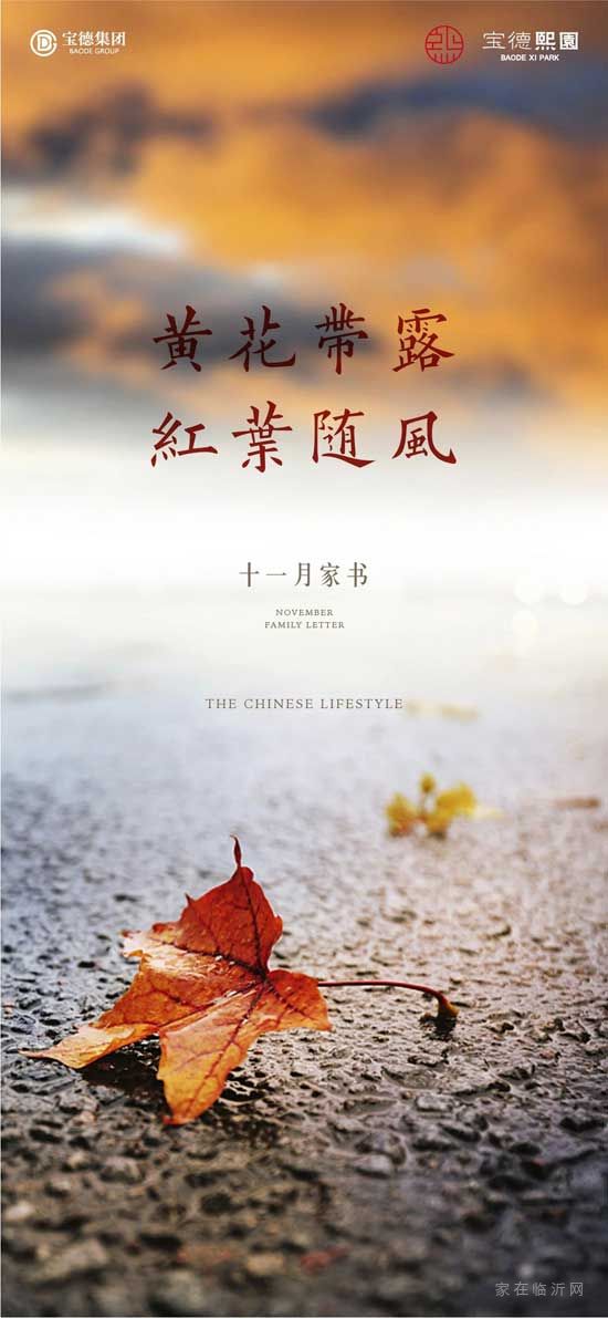 黃花帶露，紅枼隨風(fēng)|寶德·熙園敬呈十一月家書