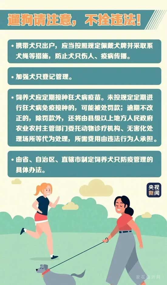 正式實施！5月1日開始遛狗不拴繩違法，這些路段將交通管制！