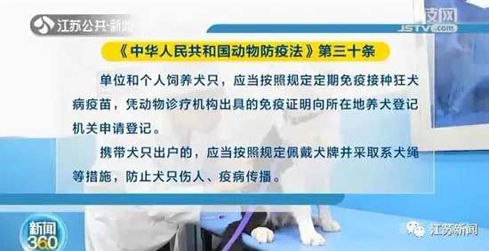 正式實施！5月1日開始遛狗不拴繩違法，這些路段將交通管制！