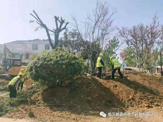 瑞德新居園林改造突飛猛進，見證‘家’速度