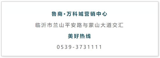 開業(yè)一年，魯商萬科城平安小街如何成為臨沂街區(qū)的商業(yè)范本？